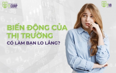 BIẾN ĐỘNG CỦA THỊ TRƯỜNG CÓ LÀM BẠN LO LẮNG